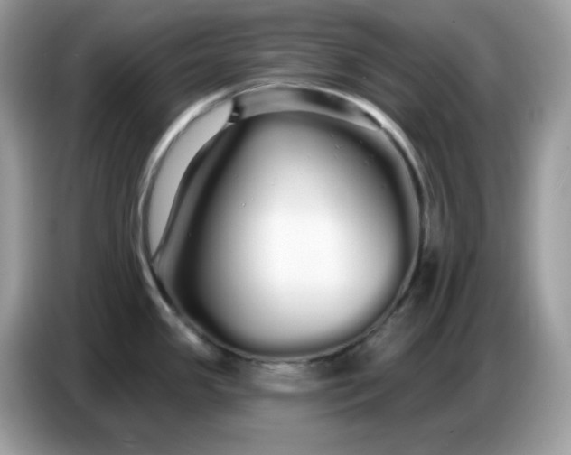 X0000086781341200704271802