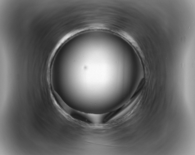 X0000086781342200704271802