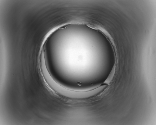 X0000086781344200704271802