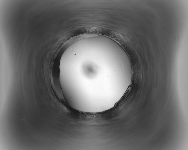 X0000086781345200704271802