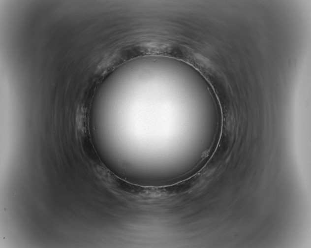 X0000086781346200704271802