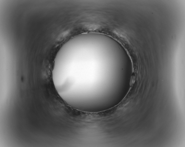 X0000086781349200704271802