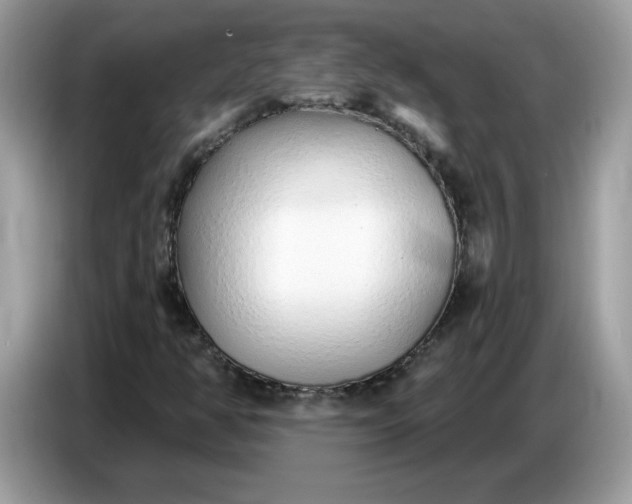 X0000086781350200704271802