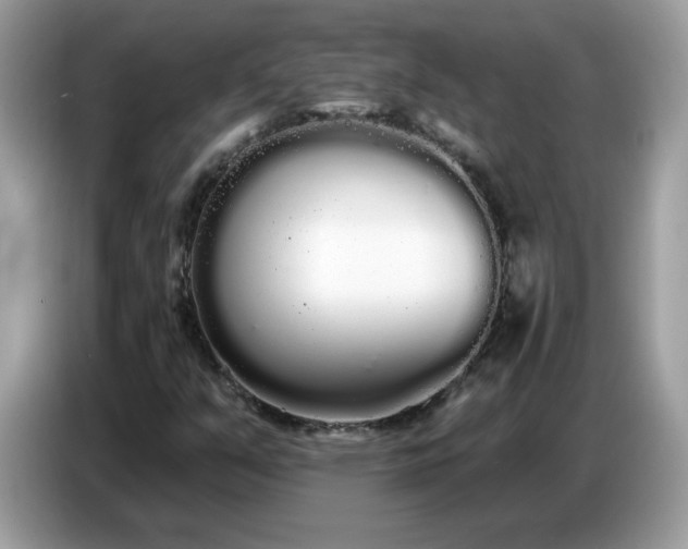 X0000086781351200704271802