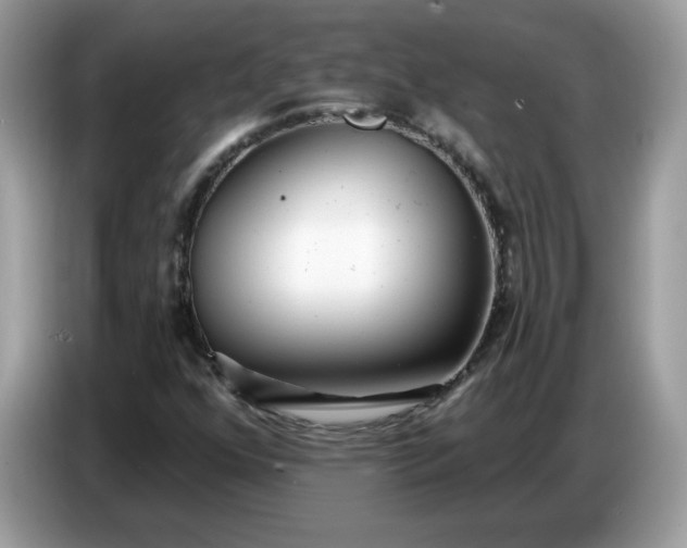 X0000086781352200704271802