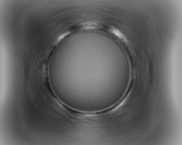 X0000086781353200704271802