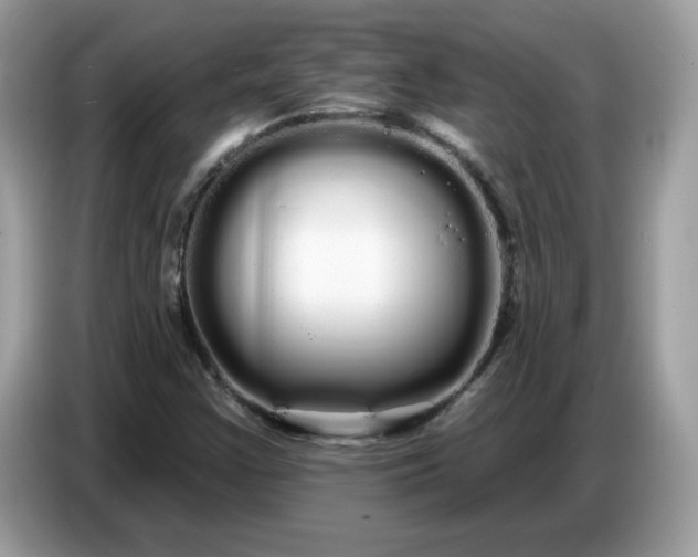 X0000086781355200704271802