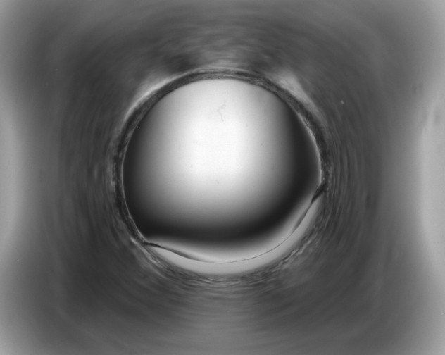 X0000086781356200704271802