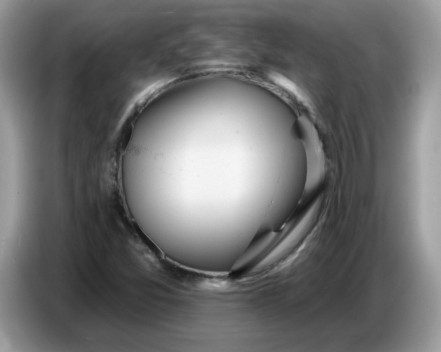 X0000086781357200704271802