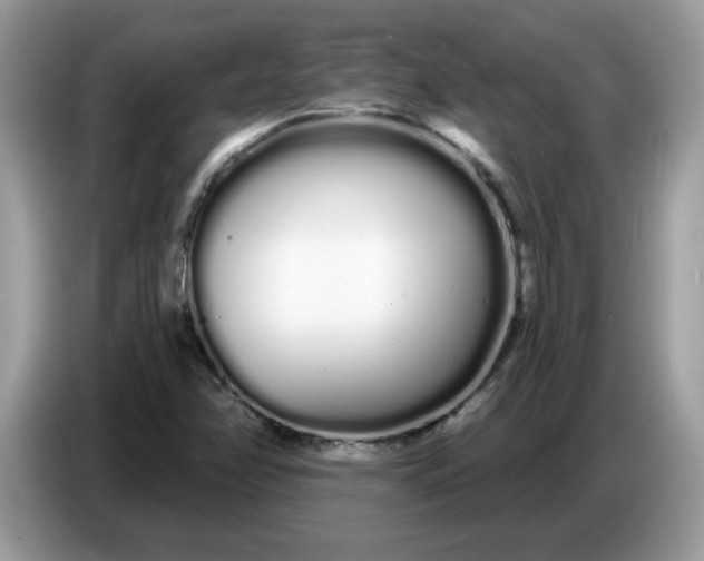 X0000086781358200704271802