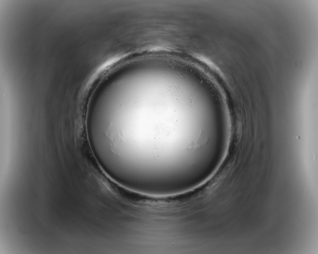 X0000086781359200704271802