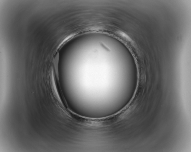 X0000086781361200704271801