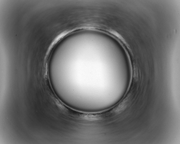 X0000086781366200704271801