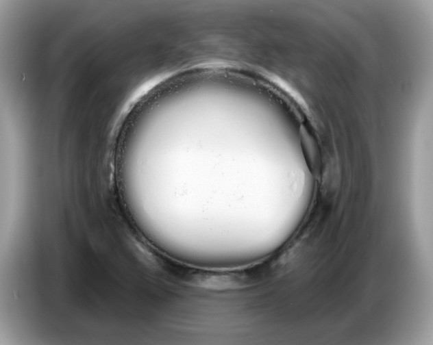 X0000086781367200704271801