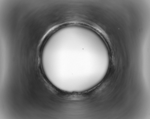 X0000086781368200704271801