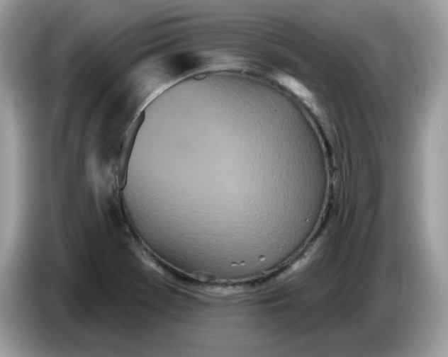 X0000086781369200704271801