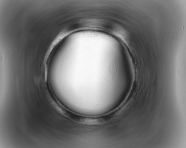 X0000086781371200704271801