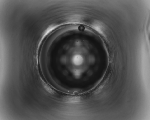 X0000086781372200704271801