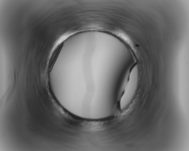 X0000086781373200704271801