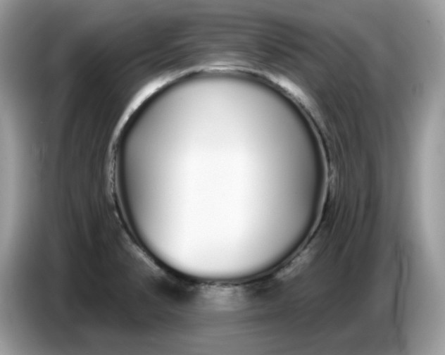 X0000086781374200704271801