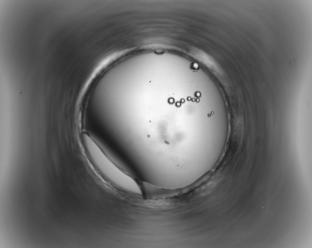 X0000086781376200704271801