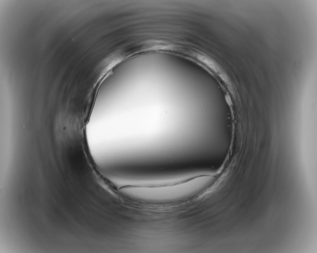 X0000086781377200704271801