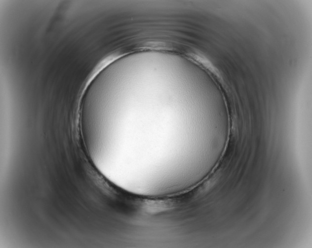 X0000086781378200704271801