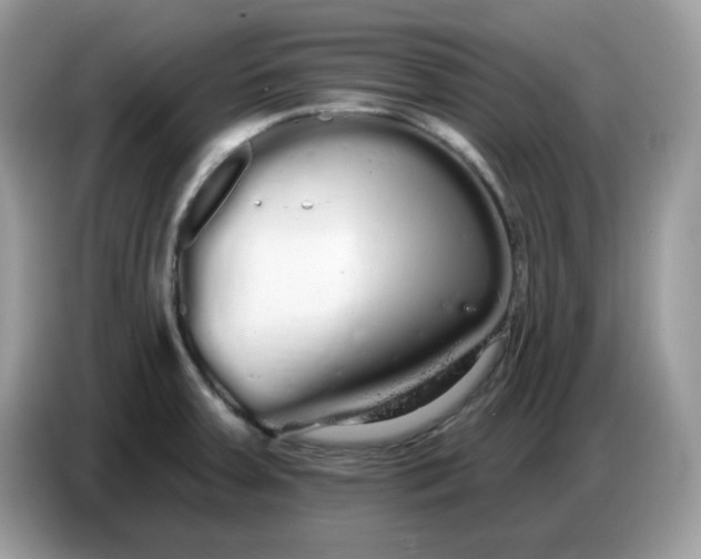 X0000086781379200704271801