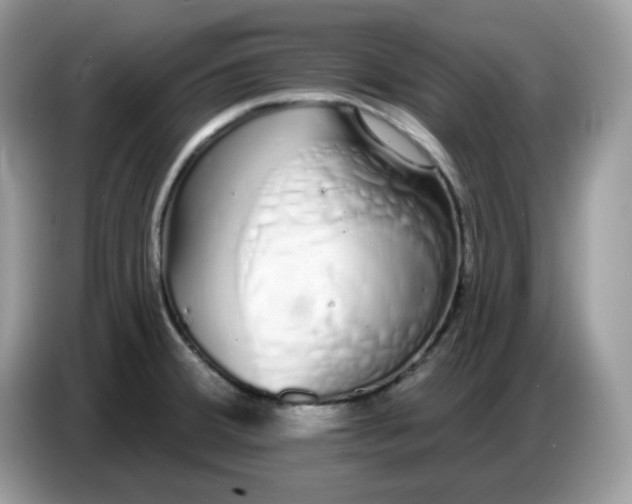 X0000086781380200704271801