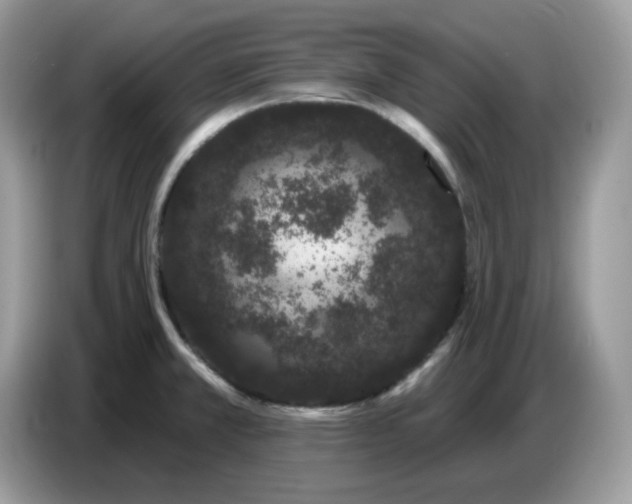 X0000086781381200704271801