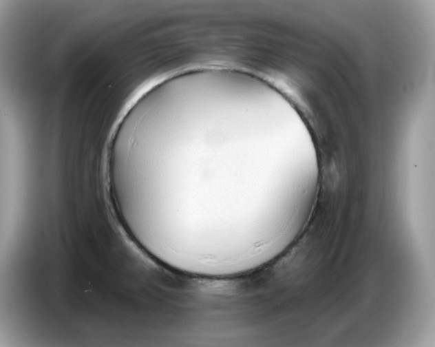 X0000086781382200704271801