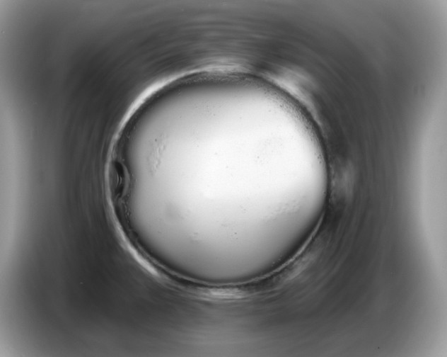 X0000086781383200704271801