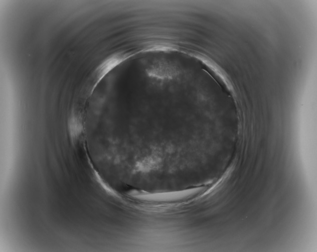 X0000086781385200704271801