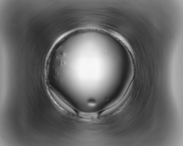 X0000086781388200704271801