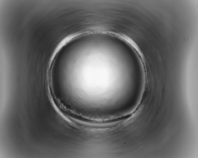 X0000086781389200704271801