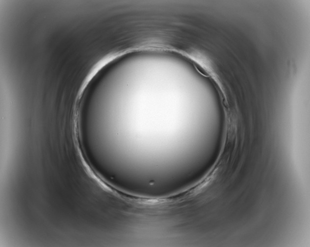 X0000086781390200704271801