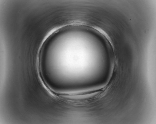 X0000086781391200704271801