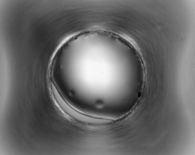 X0000086781392200704271801