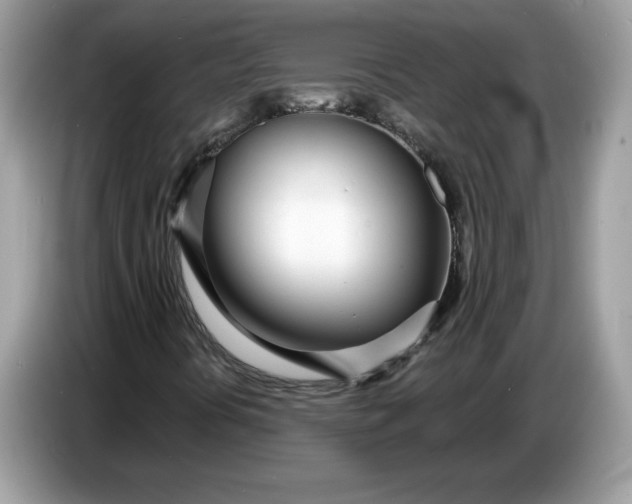 X0000086781394200704271800