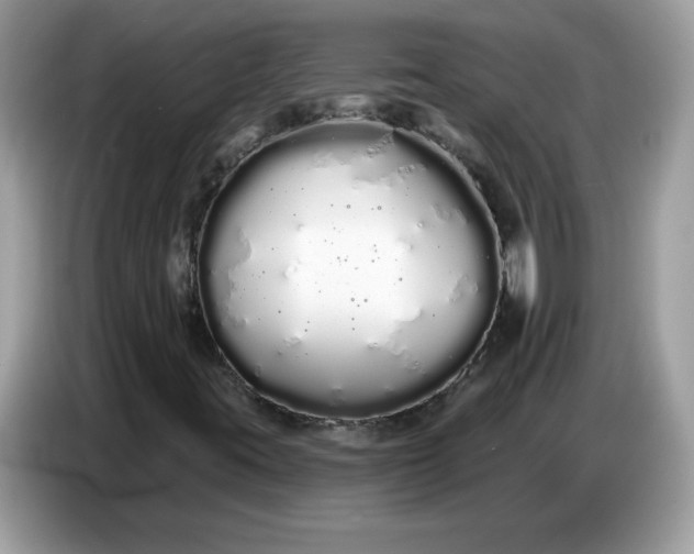 X0000086781395200704271800