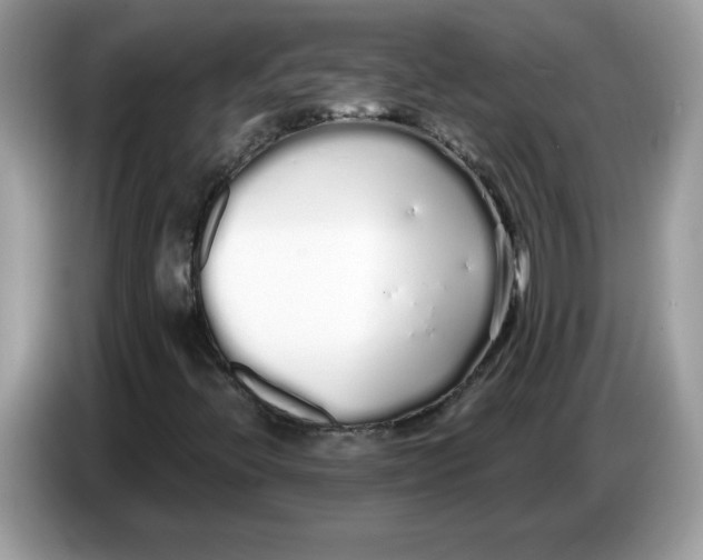 X0000086781396200704271801