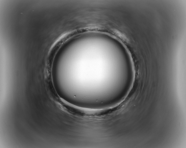 X0000086781400200704271801