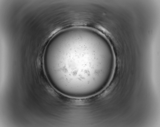 X0000086781401200704271801