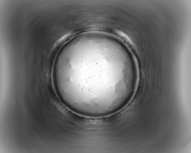 X0000086781403200704271801