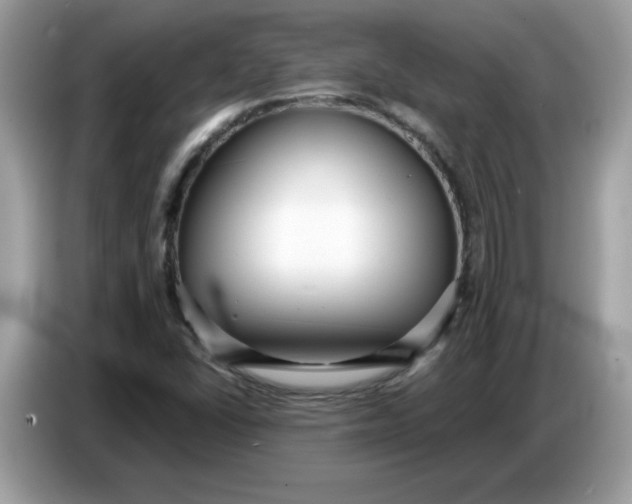 X0000086781406200704271801