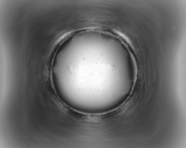 X0000086781407200704271801