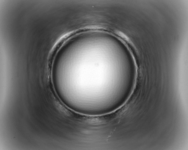 X0000086781408200704271801