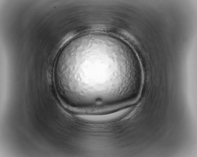 X0000086781409200704271801