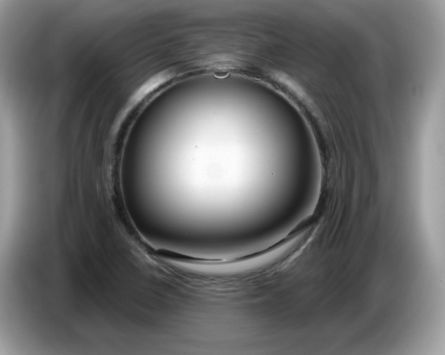 X0000086781410200704271801