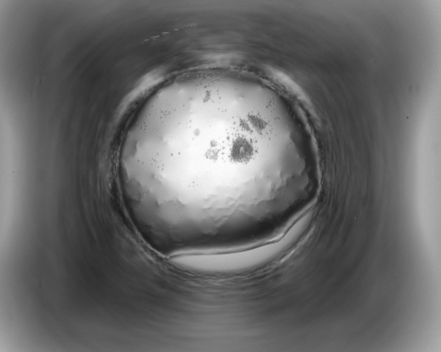 X0000086781411200704271801